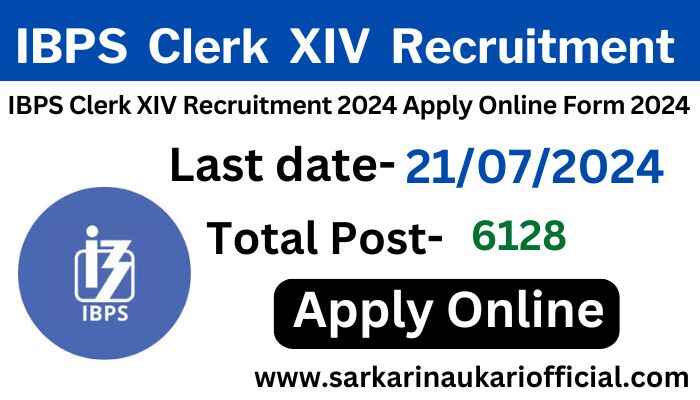 IBPS Clerk XIV Recruitment 2024 Apply Online Form 2024 for 6128 Post